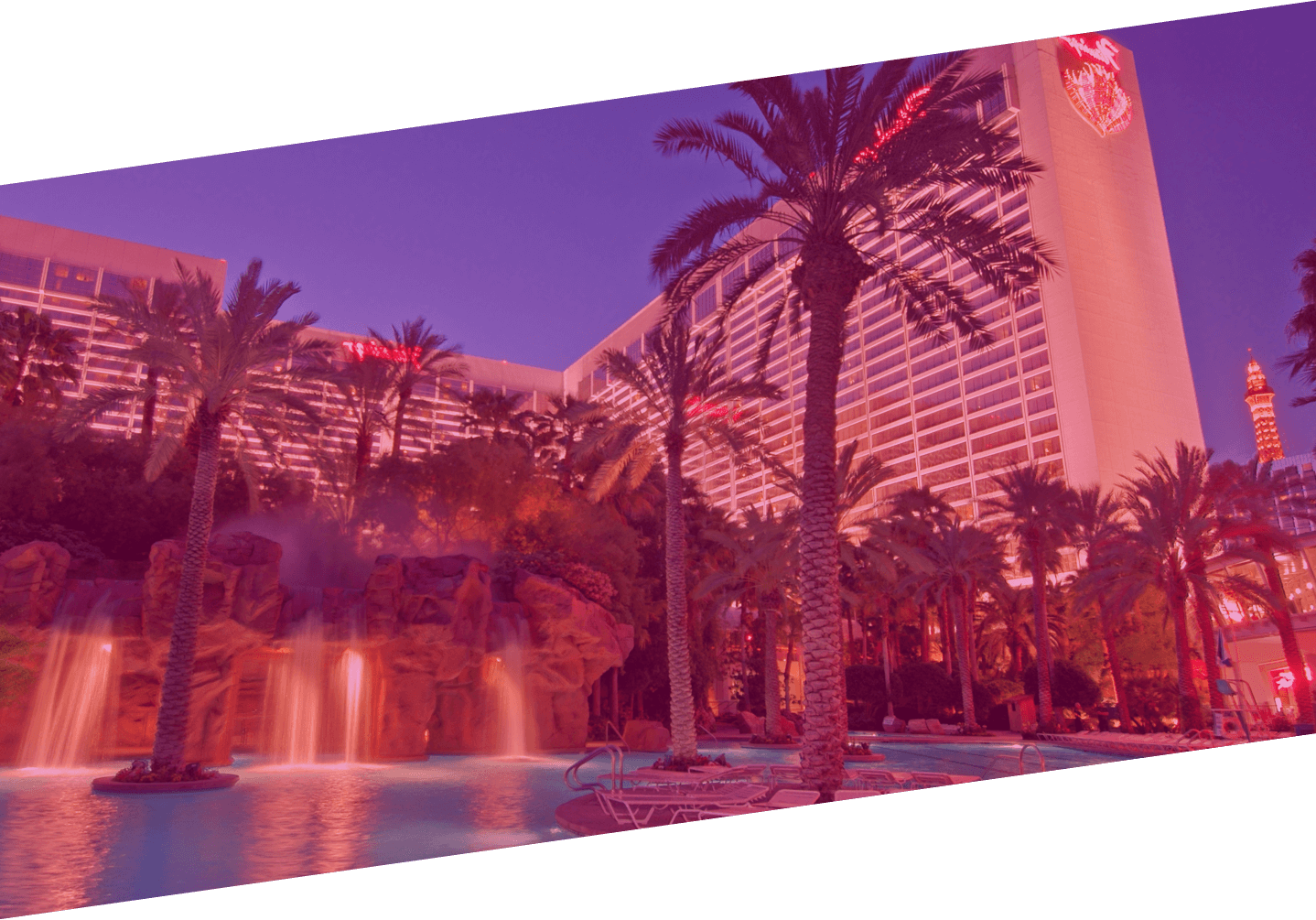Flamingo Las Vegas on X: Early bird gets the worm.. or pool